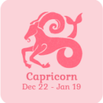 capricorn zodiac sign icon